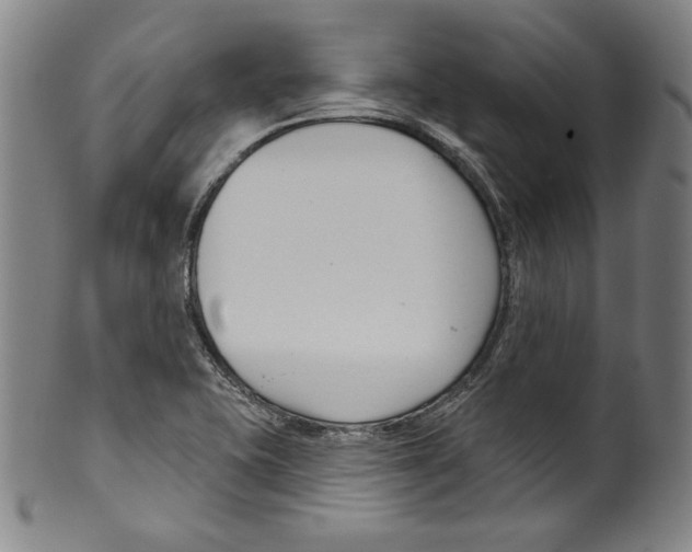 X0000099441415200806061033