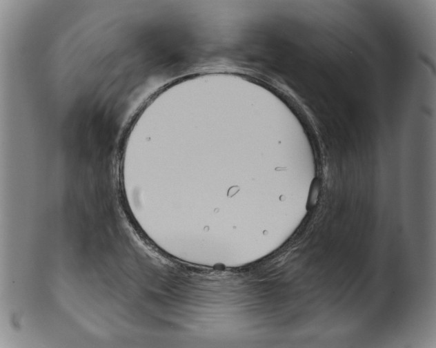 X0000099441416200806061033