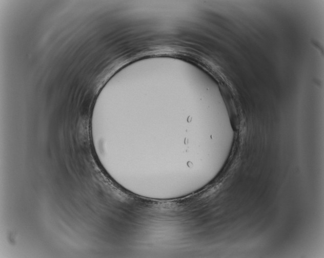 X0000099441417200806061033