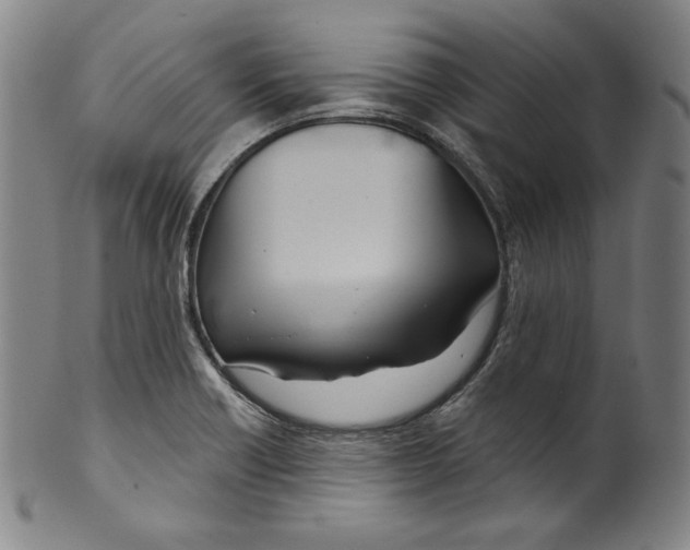 X0000099441418200806061033