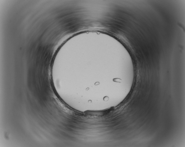 X0000099441420200806061033