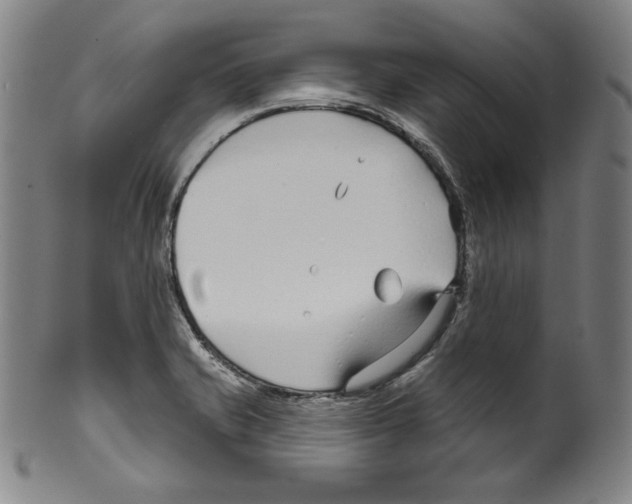 X0000099441421200806061033