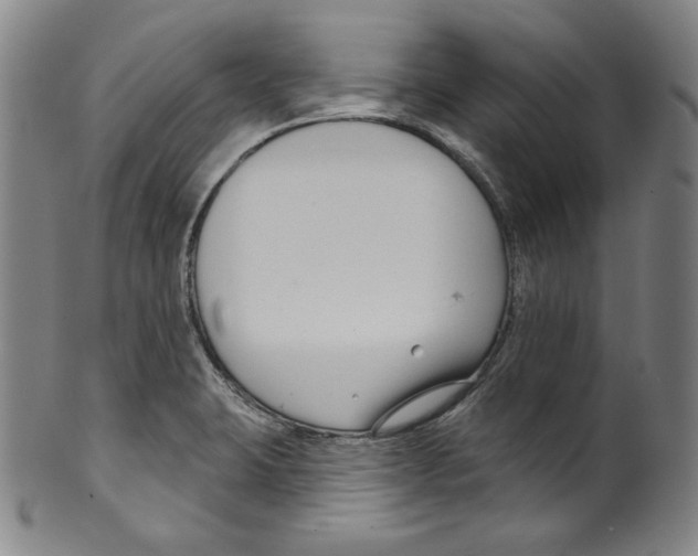 X0000099441423200806061033