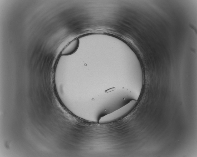 X0000099441424200806061033