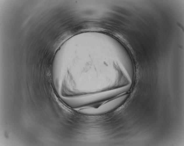 X0000099441425200806061033