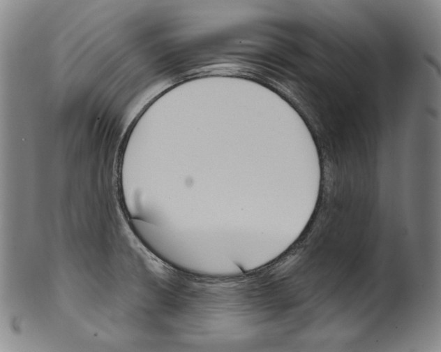 X0000099441426200806061033