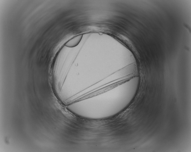 X0000099441427200806061033