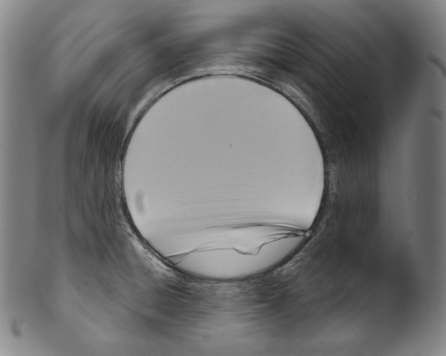 X0000099441428200806061033