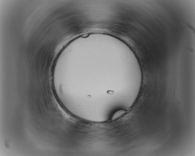 X0000099441430200806061033