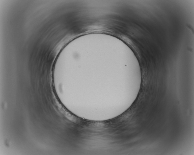 X0000099441431200806061033