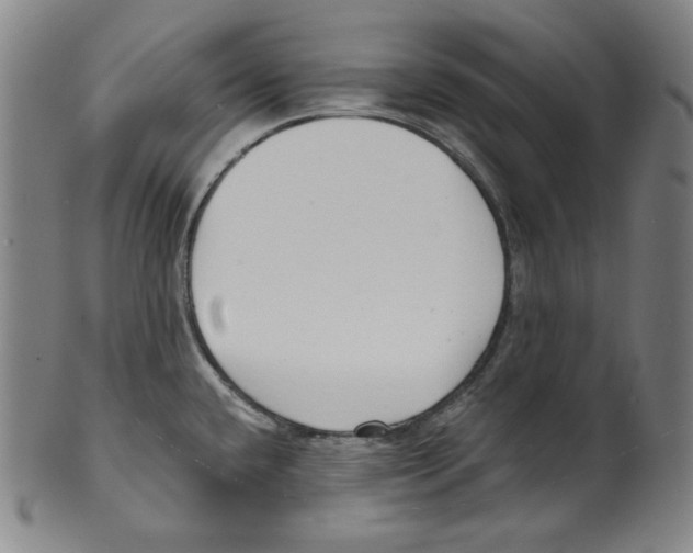 X0000099441432200806061033