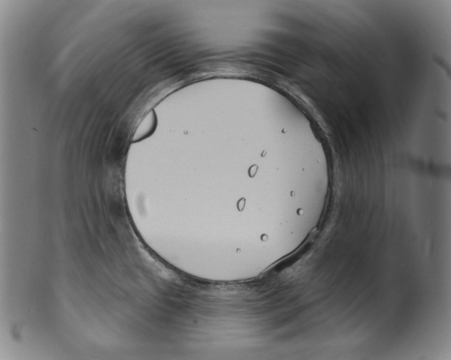 X0000099441433200806061033