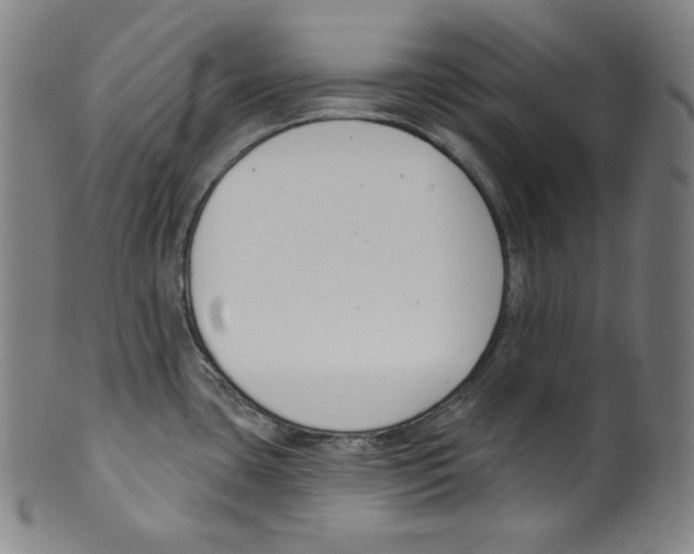 X0000099441435200806061033