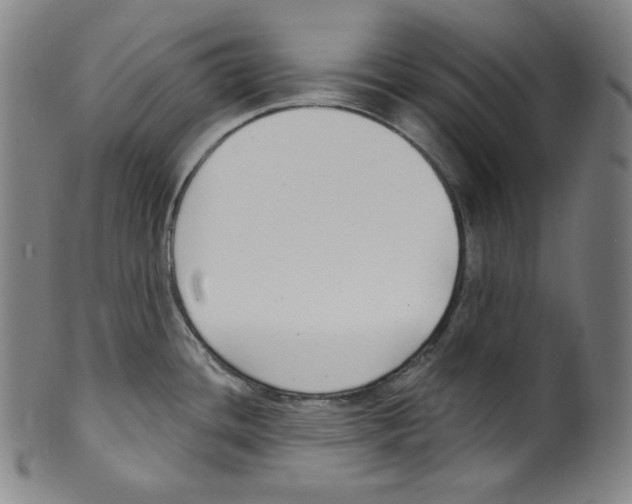 X0000099441436200806061033