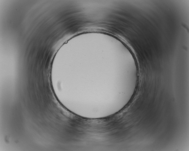 X0000099441437200806061033