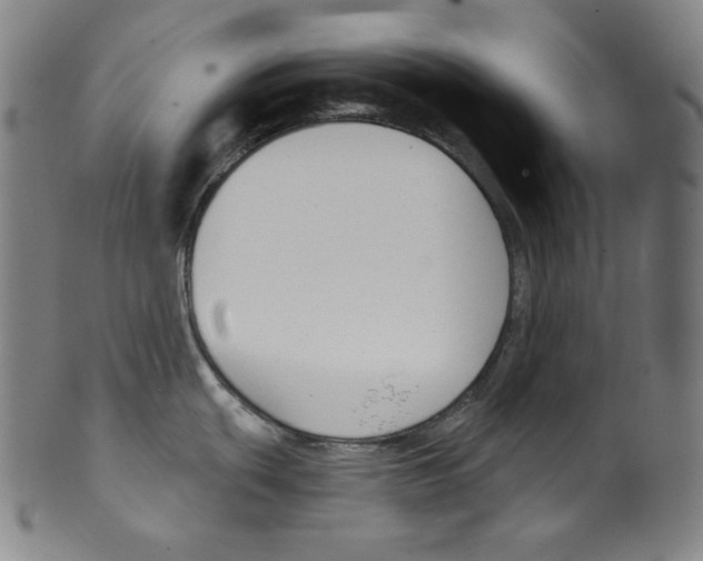 X0000099441439200806061033