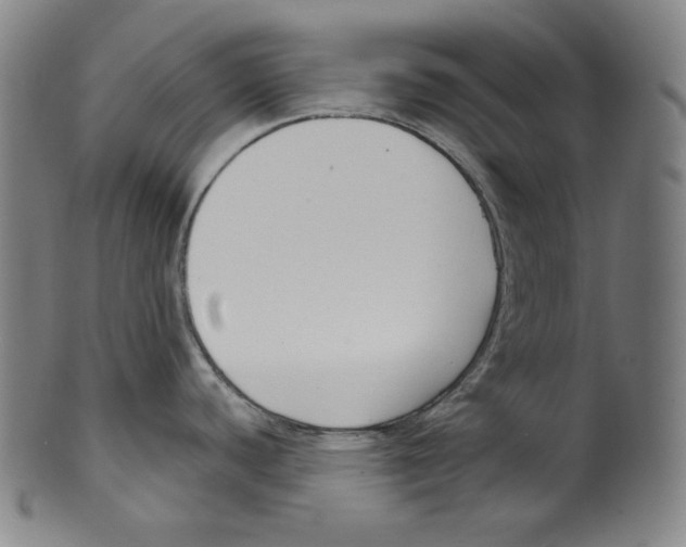 X0000099441440200806061033