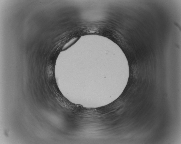 X0000099441442200806061032