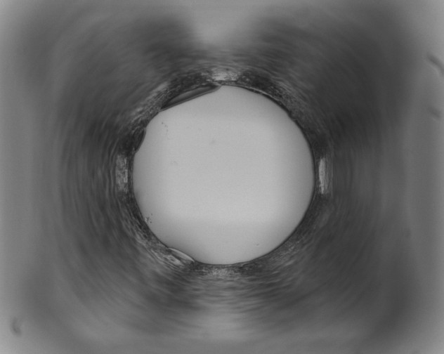 X0000099441443200806061032