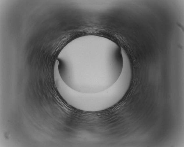 X0000099441444200806061032