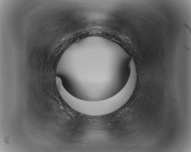 X0000099441445200806061032