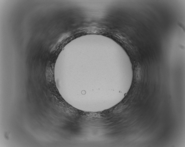 X0000099441446200806061032