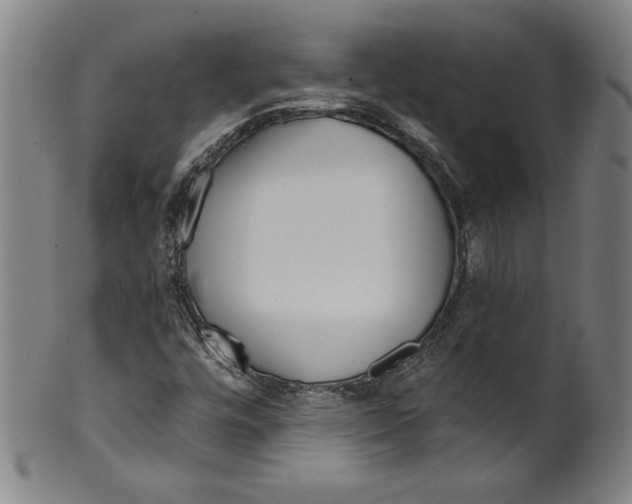 X0000099441448200806061032