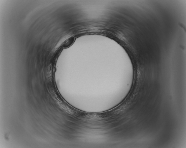 X0000099441450200806061032