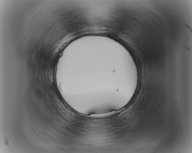 X0000099441451200806061032