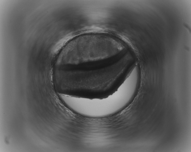 X0000099441455200806061032