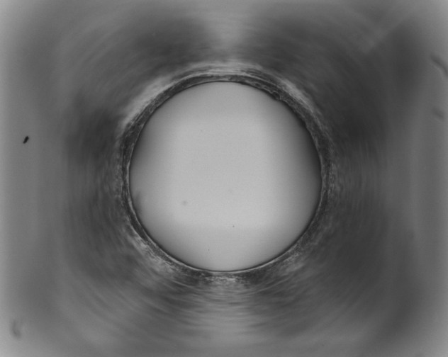 X0000099441456200806061032