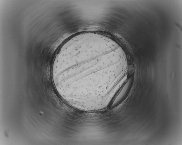 X0000099441457200806061032