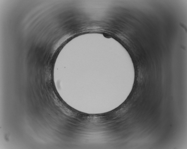 X0000099441458200806061032