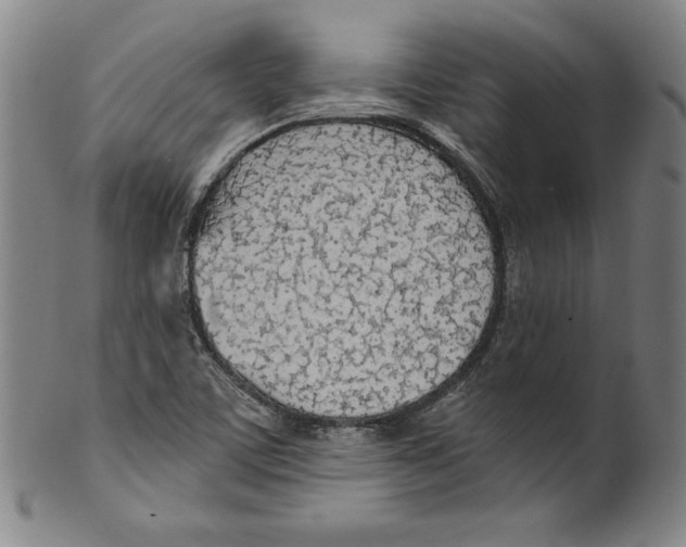 X0000099441459200806061032