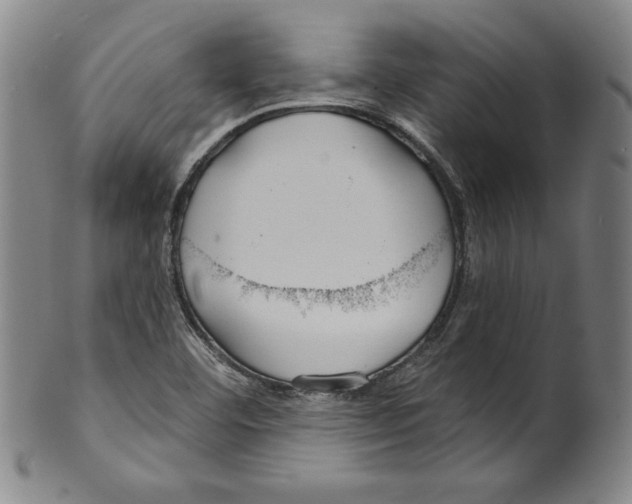 X0000099441460200806061032