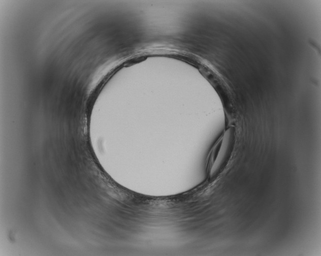 X0000099441461200806061032