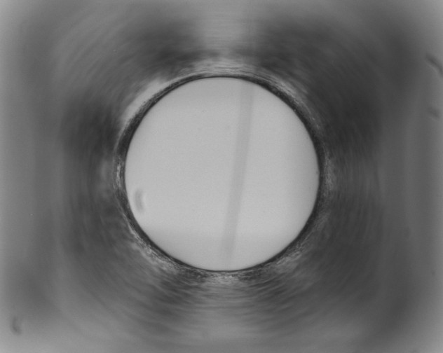 X0000099441462200806061032