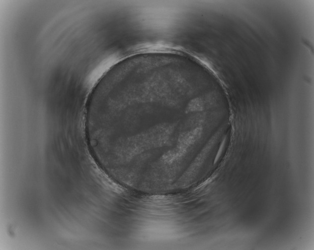 X0000099441463200806061032