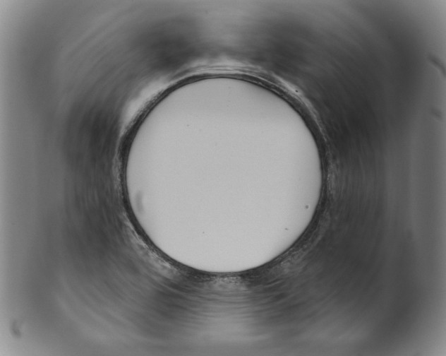 X0000099441464200806061032