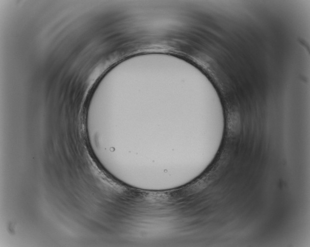 X0000099441466200806061032