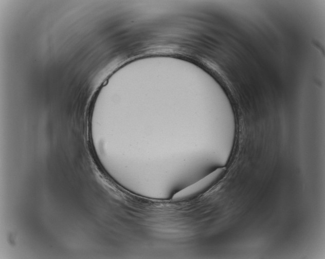 X0000099441467200806061032