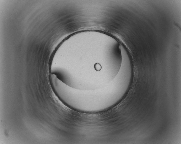 X0000099441468200806061032