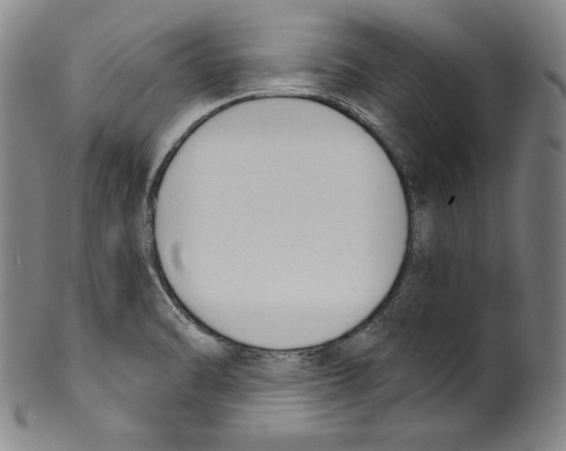 X0000099441470200806061032