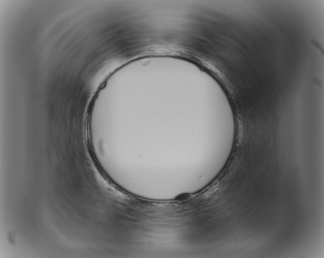 X0000099441471200806061032