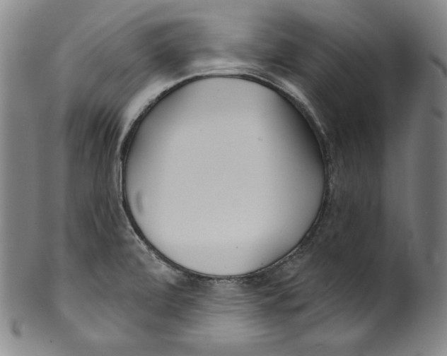 X0000099441472200806061032