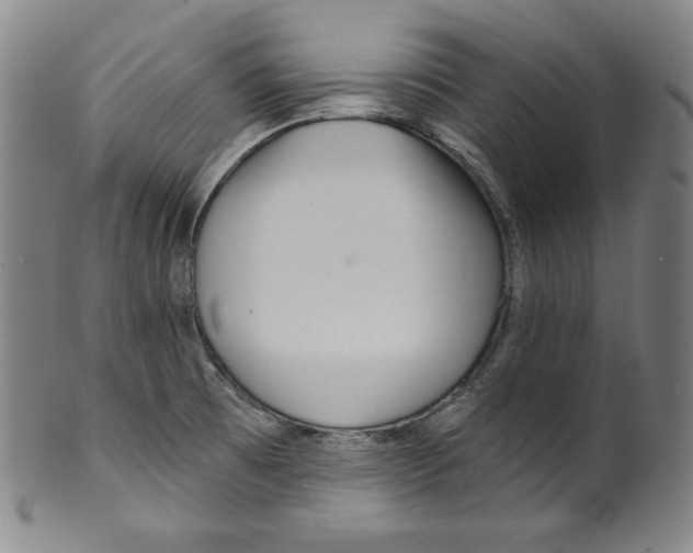 X0000099441473200806061032