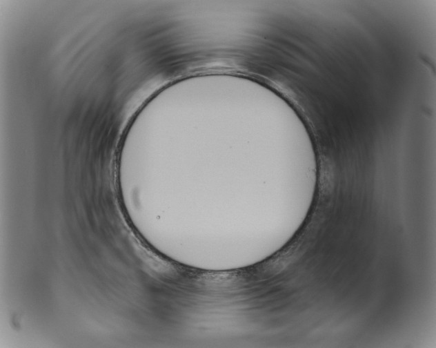 X0000099441474200806061032