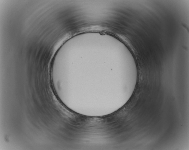 X0000099441475200806061032