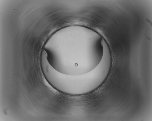 X0000099441476200806061032