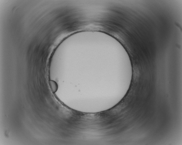 X0000099441478200806061032